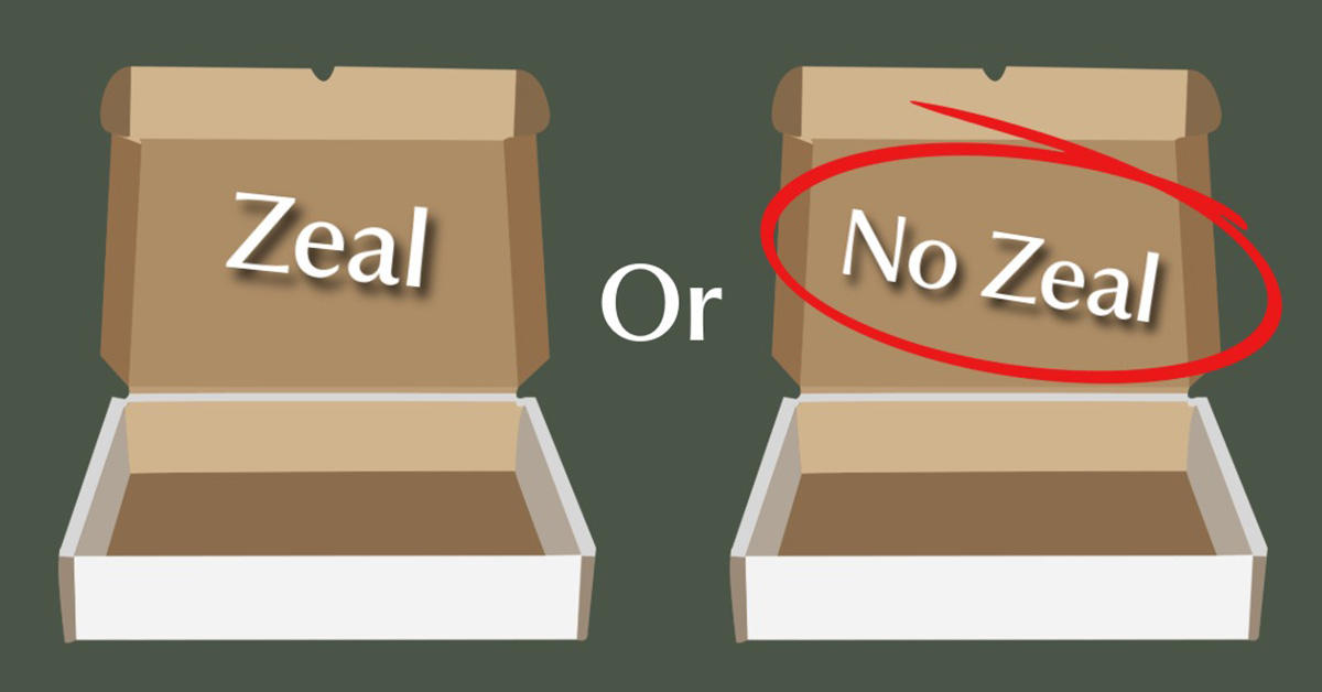 Zeal or No Zeal - 2 boxes referring to hearing aid Oticon Zeal