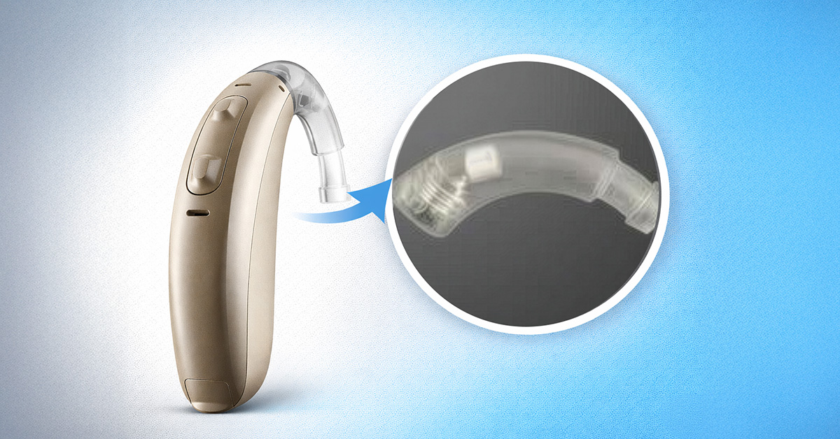 BTE hearing aid with a damped ear hook