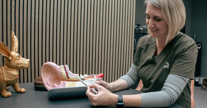 Leesa Burkett - audiologist at Alto Hearing